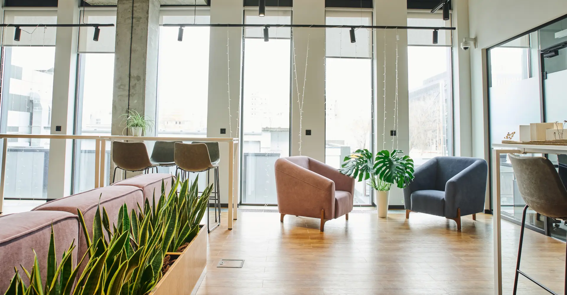 cozy waiting lounge with large windows, soft and comfortable armchairs, green and natural plants in modern coworking environment, workspace organization concept